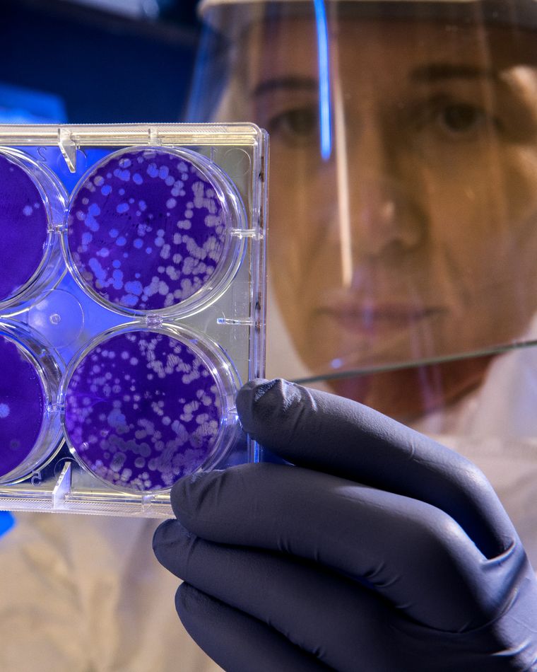 Kennisagenda voor het stimuleren van proefdiervrije innovaties